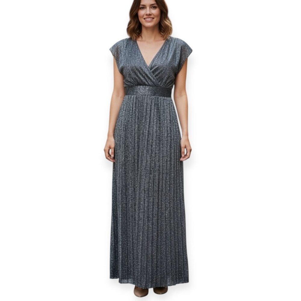 Moulinette Soeurs Metallic Chiffon Maxi Dress Women's Size 2 Evening Gown - Picture 1 of 11